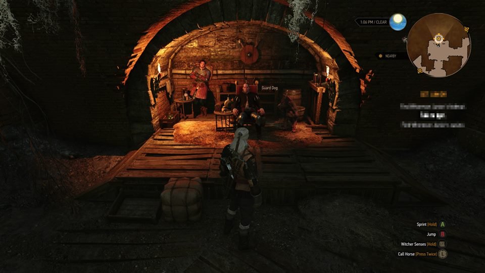 The Witcher 3 Wild Hunt image screenshot 5