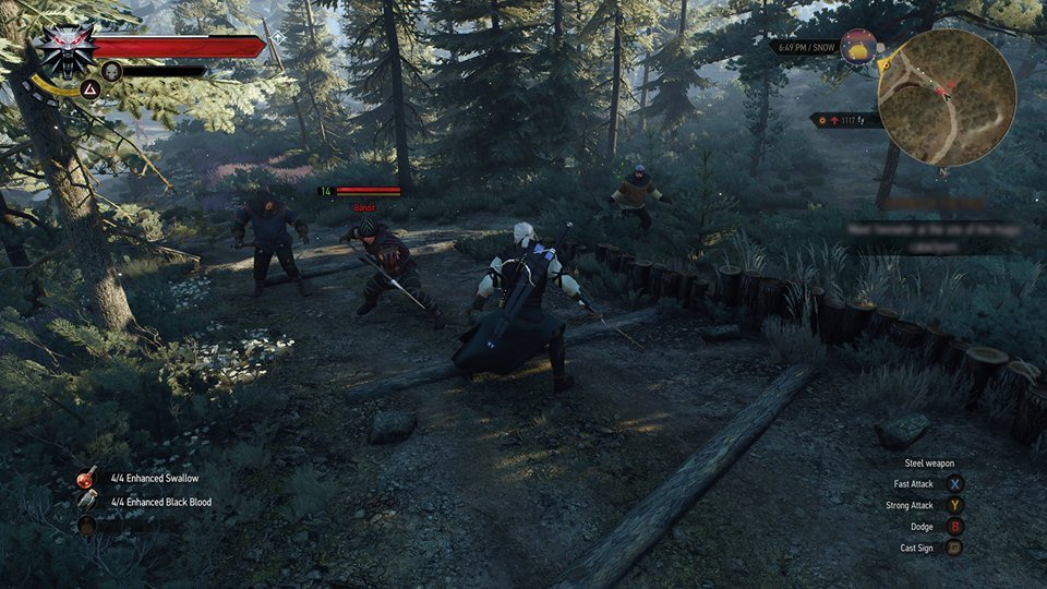 The Witcher 3 Wild Hunt image screenshot 6