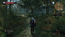 The Witcher 3 Wild Hunt image screenshot 8