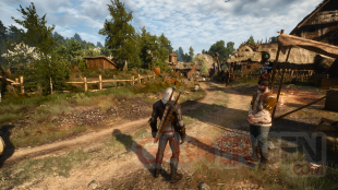 The Witcher 3 Wild Hunt  patch 1.01  (5)