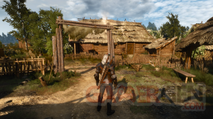 The Witcher 3 Wild Hunt  patch 1.01  (6)