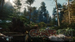 The Witcher 4 IV State of Unreal 2025 02