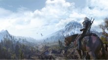 The_Witcher_III_3_009
