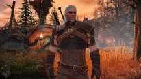 The Witcher Lost Ark (4)