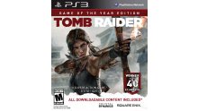 Tomb-Raider-Game-of-the-Year_jaquette-1