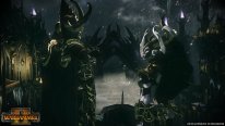 Total War Warhammer II Elfes Noirs (2)