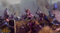 Total War Warhammer II Elfes Noirs (4)