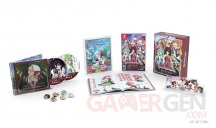 Touhou Genso Wanderer Reloaded collector us Switch 01 11 02 2018