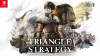Triangle Strategy 01 24 09 2021
