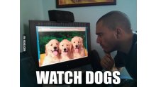 Trolls Watch Dogs 2