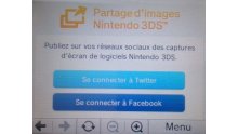 Tuto publier Twitter 3DS 2DS (1)