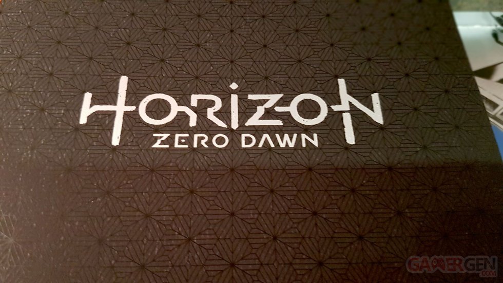 UNBOXING - Horizon Zero Dawn Kit Press - 0015
