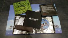 UNBOXING - Horizon Zero Dawn Kit Press - 0031