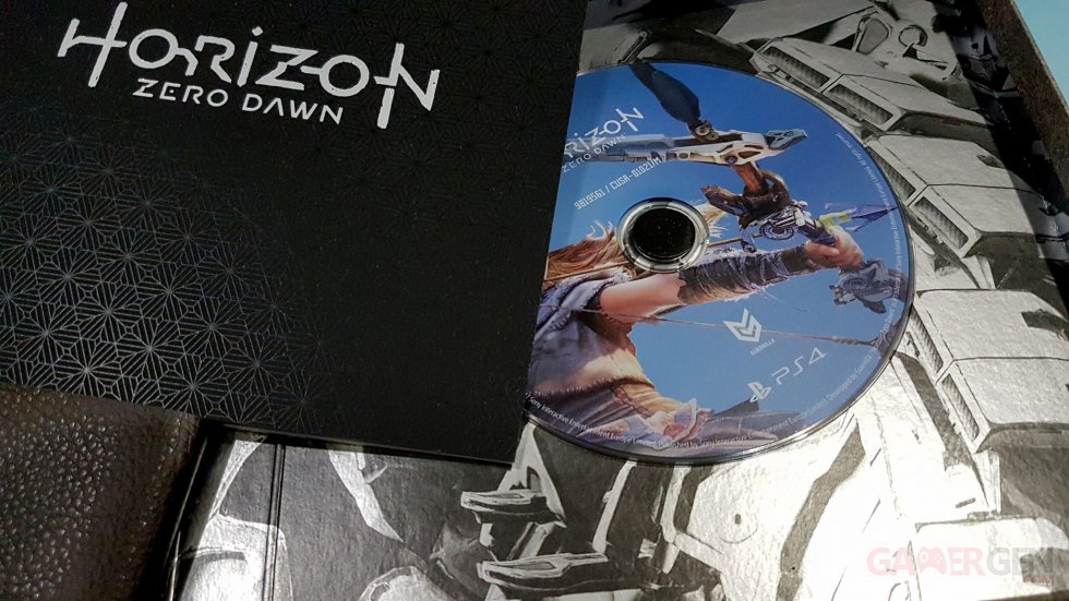 UNBOXING - Horizon Zero Dawn Kit Press - 0032