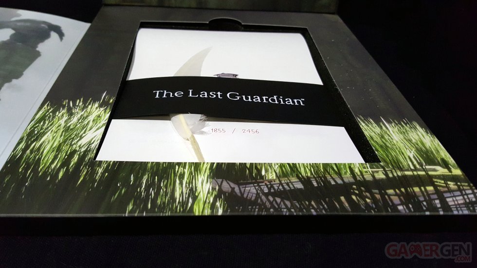 Unboxing The Last Guardian 23