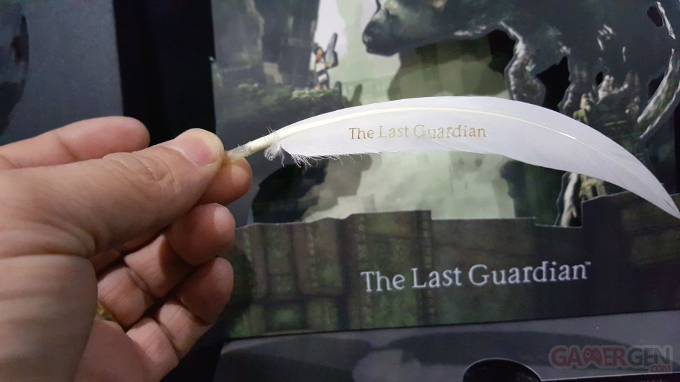 Unboxing The Last Guardian 29