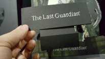 Unboxing The Last Guardian 31