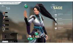 Valorant Project A Riot Sage Leak