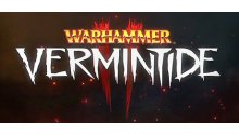Warhammer Vermintide 2 head