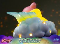 Warp Star Kirby F4F Exclusive (10)