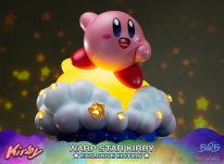 Warp Star Kirby F4F Exclusive (12)