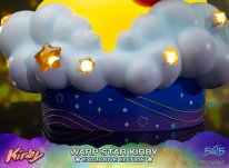 Warp Star Kirby F4F Exclusive (16)