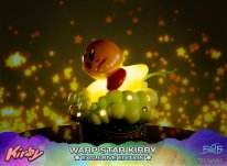 Warp Star Kirby F4F Exclusive (21)