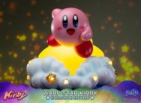 Warp Star Kirby F4F Exclusive (2)