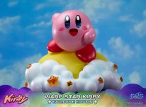 Warp Star Kirby F4F Exclusive (38)