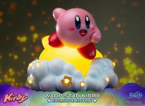 Warp Star Kirby F4F Exclusive (3)