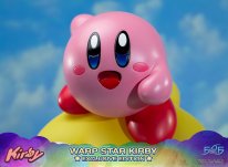 Warp Star Kirby F4F Exclusive (46)