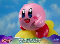Warp Star Kirby F4F Exclusive (47)