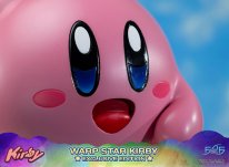 Warp Star Kirby F4F Exclusive (57)