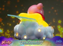 Warp Star Kirby F4F Exclusive (5)