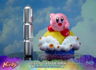 Warp Star Kirby F4F Exclusive (62)
