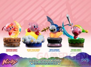 Warp Star Kirby F4F Exclusive (63)