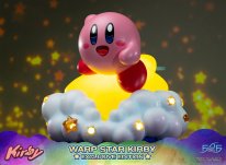 Warp Star Kirby F4F Exclusive (6)