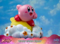 Warp Star Kirby F4F Regular (11)