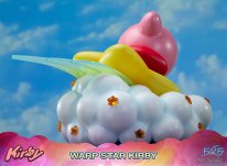 Warp Star Kirby F4F Regular (12)