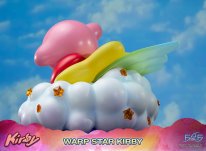Warp Star Kirby F4F Regular (13)