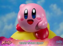 Warp Star Kirby F4F Regular (18)
