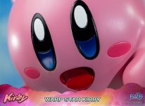 Warp Star Kirby F4F Regular (27)