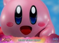 Warp Star Kirby F4F Regular (28)