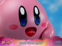 Warp Star Kirby F4F Regular (29)
