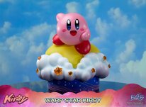 Warp Star Kirby F4F Regular (2)