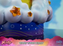 Warp Star Kirby F4F Regular (30)