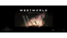 Westworld-Awakening-head-2