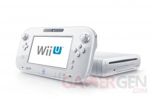 Wii U gamepad 31.01.2014