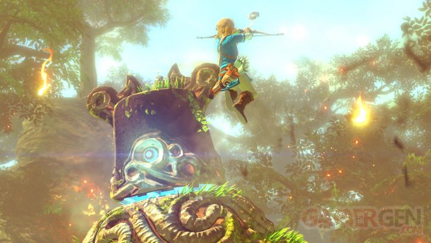 Wii U The Legend of Zelda 10.05.2014  (1)