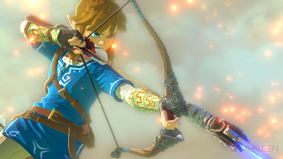 Wii U The Legend of Zelda 10.05.2014  (3)